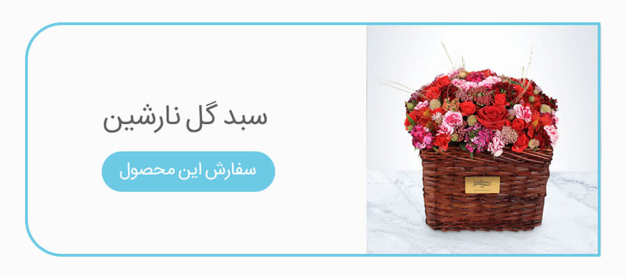 سبد گل نارشین