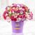 سفارش انلاین گلدان گل ویولت | گل بازار