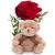ارسال گل بوسه رز و عروسک و آغوش Teddy به سوئد