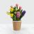 گلدان لاله و سنبل های رنگی (آمریکا)