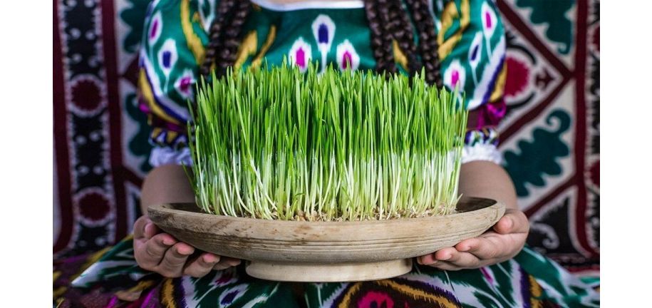 کاشت انواع سبزه برای عید نوروز