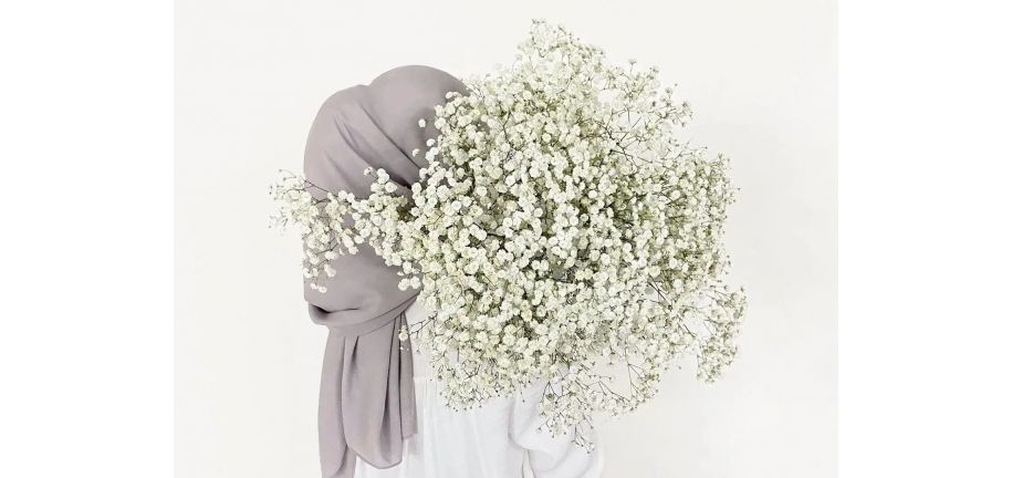 نگهداری گل ژیپسوفیلا
