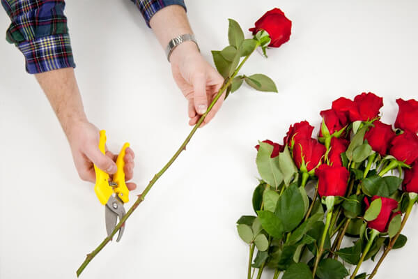 مقابله با ویروس کرونا2