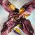 Exalis design cotton scarf