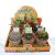Cactus Garden