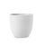 Ceramic Flowerpot