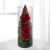 Send Three Stems Red Rose Bowl To Iran