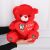 Red Heart Bear Doll