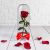 Send Red Rose in Bubble to Iran