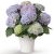 Blue Hydrangea Pot (Austria)