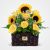 Chekameh Sunflower Basket