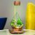 Diamond Geometric Terrarium