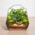 Elin Geometric Terrarium