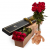 Roses Red - 6 Stems with Bear (Australia)