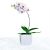 Orchid Flower Vase