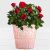 Potted Red Roses in Vintage Pink Mercury Glass