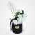 Haleh Gladiolus Flower Box