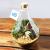Green Gemstone Terrarium