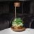 Panta Geometric Terrarium