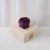 Eternal Purple Rose