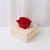 Eternal Red Rose