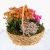 Nowruz Garden Flower Basket