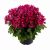 Nowruz Cinere Flower Vase