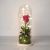 Red Rose in Bubble