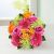 Vibrant Blooms (Canada)