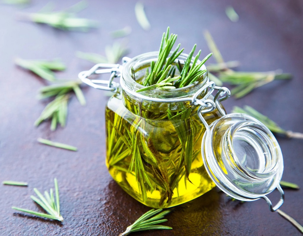 نگهداری رزماری در یخچال