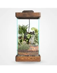 تراریوم دربسته چهارباغ